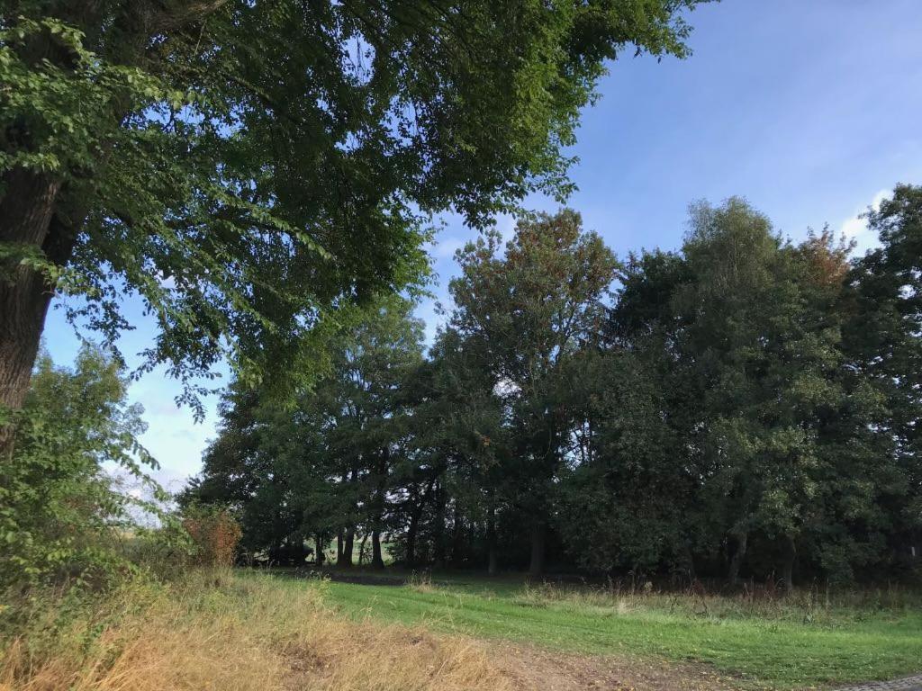Johanna'S Oostwold  Luaran gambar